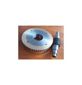 worm gear and worm set