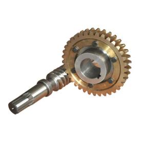 brass  Worm gear and worm set